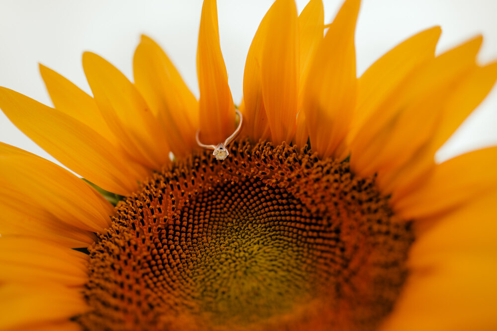 Sunflower-Anniversary-Photos-by-Kara-McCurdy-40.jpg