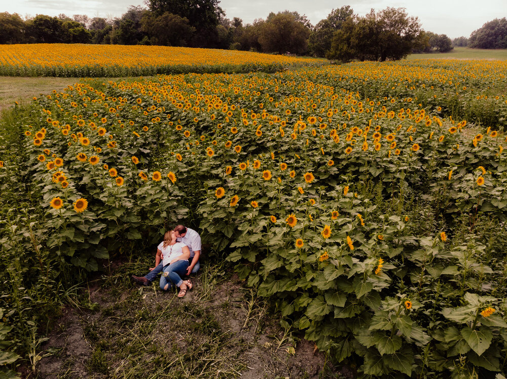Sunflower-Anniversary-by-Kara-McCurdy-23.jpg