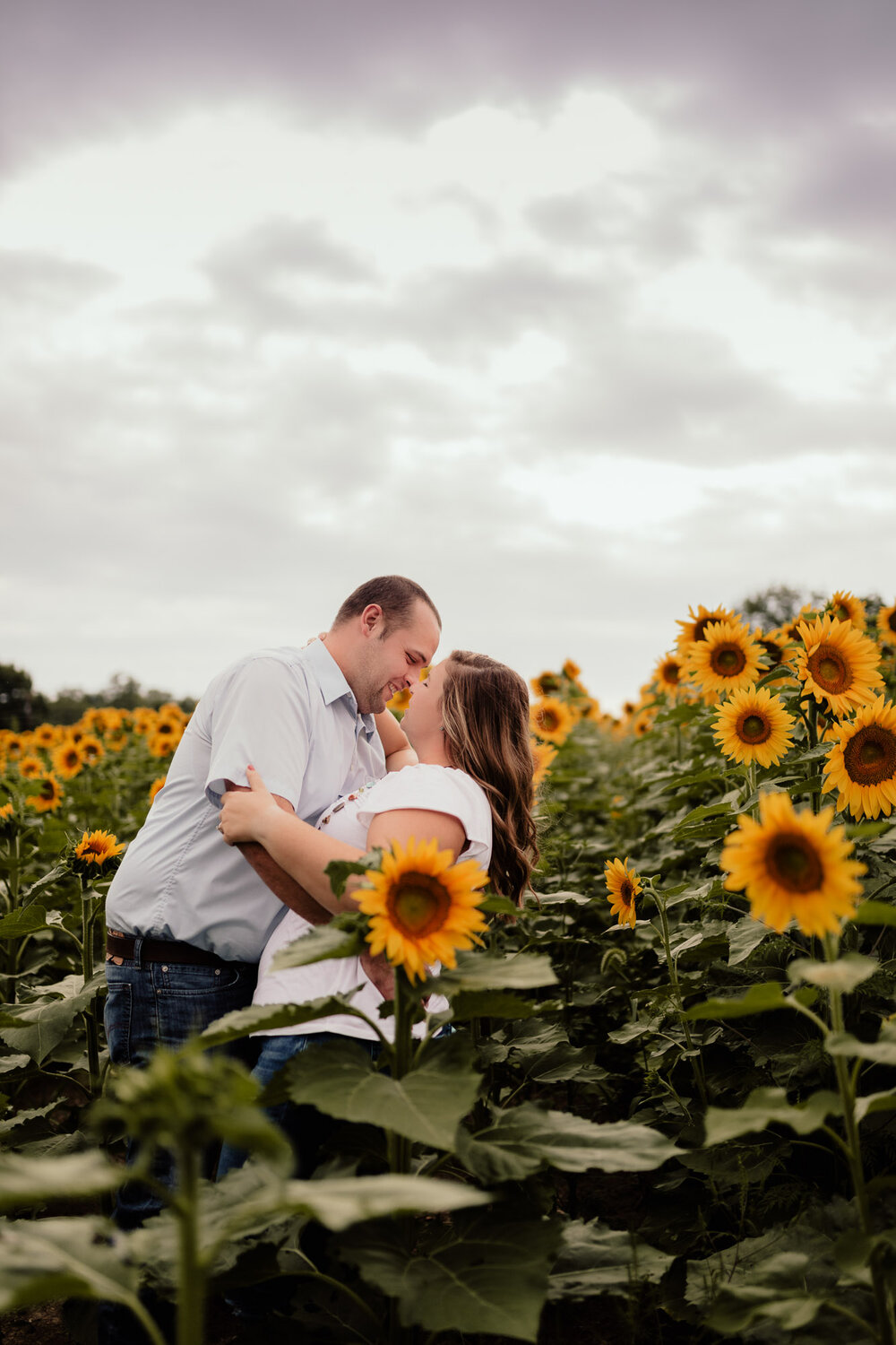Sunflower-Anniversary-by-Kara-McCurdy-4.jpg